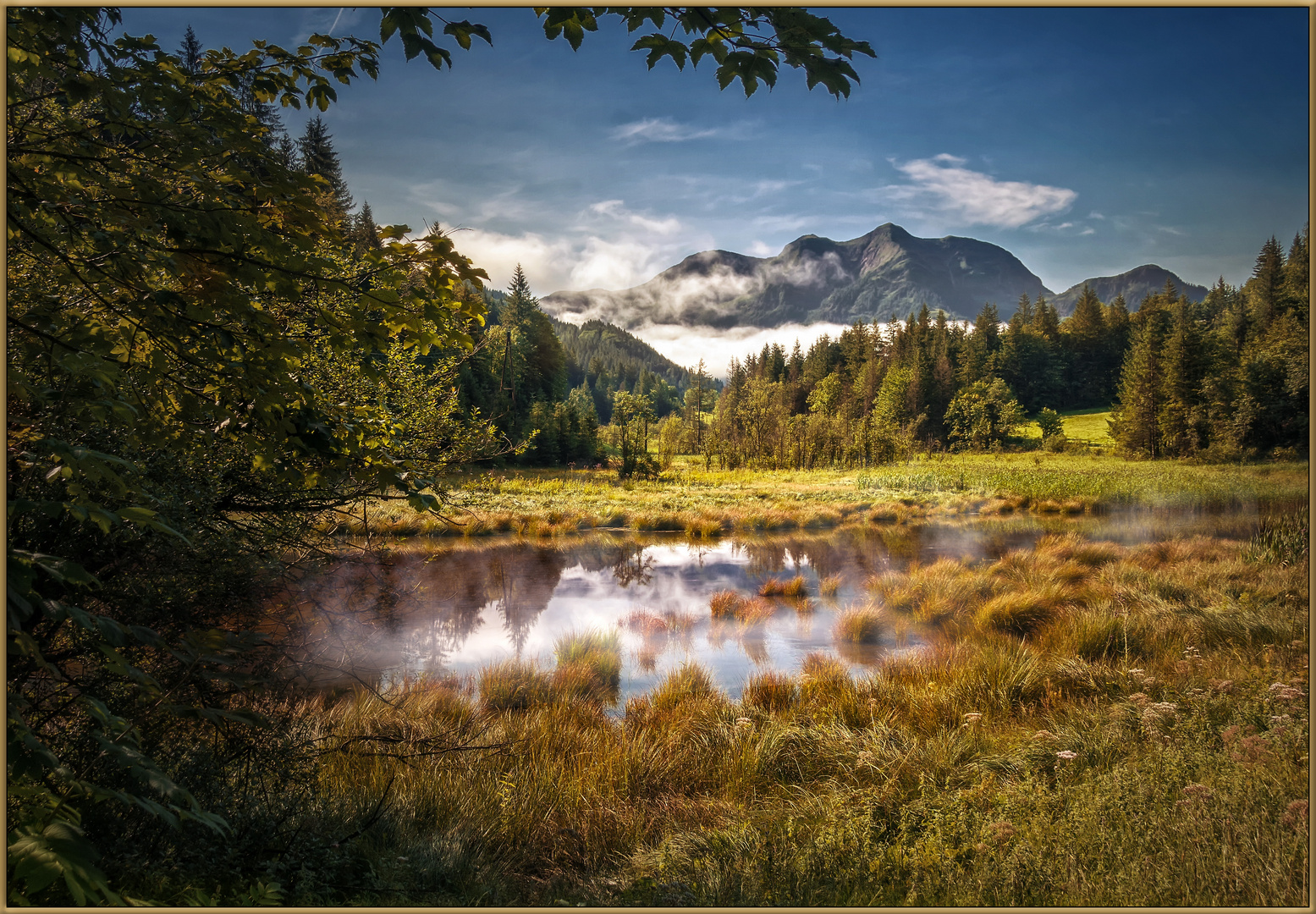 Hochmoor - Naturpark Saalachtal