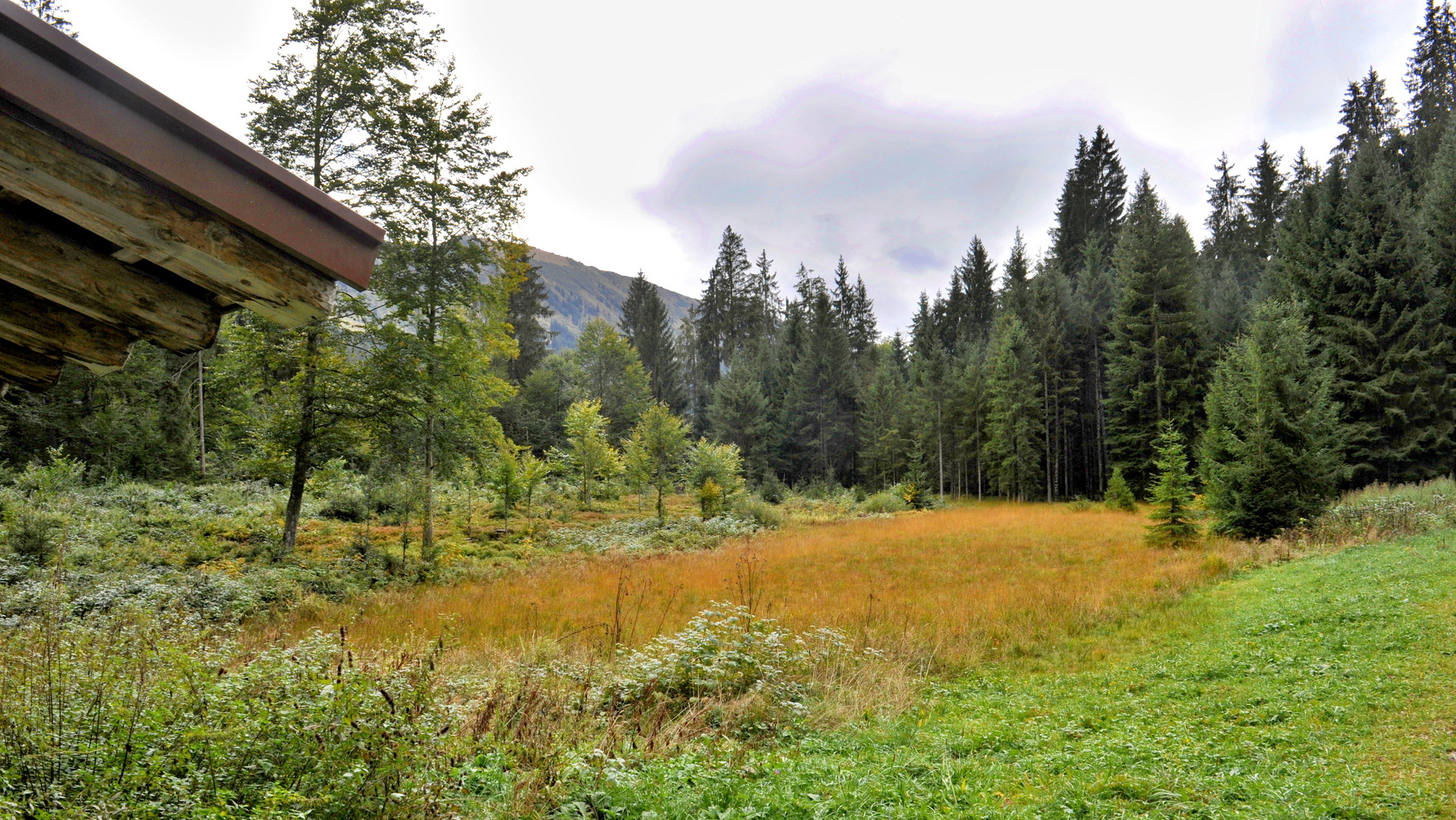 Hochmoor oberhalb der Breitachklamm