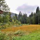 Hochmoor oberhalb der Breitachklamm