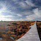 Hochmoor Panorama