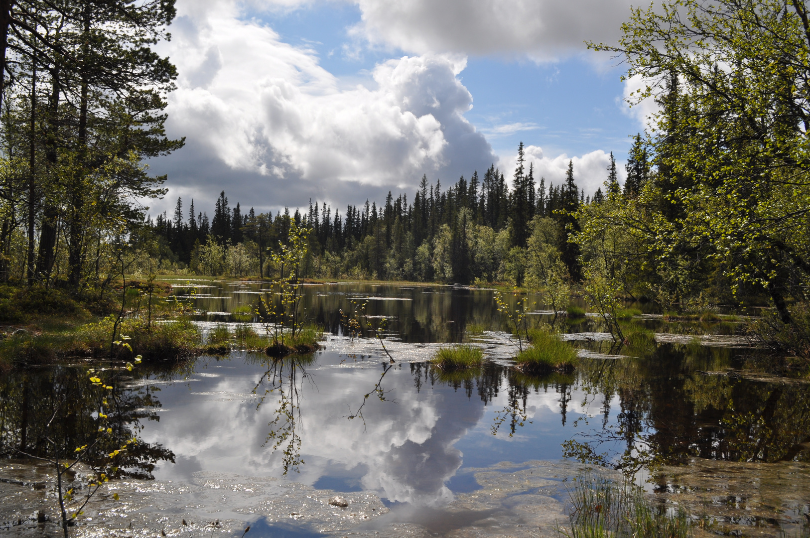 Hochmoor, Schweden