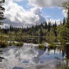 Hochmoor, Schweden