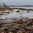 Hochmoor-See im Herbst