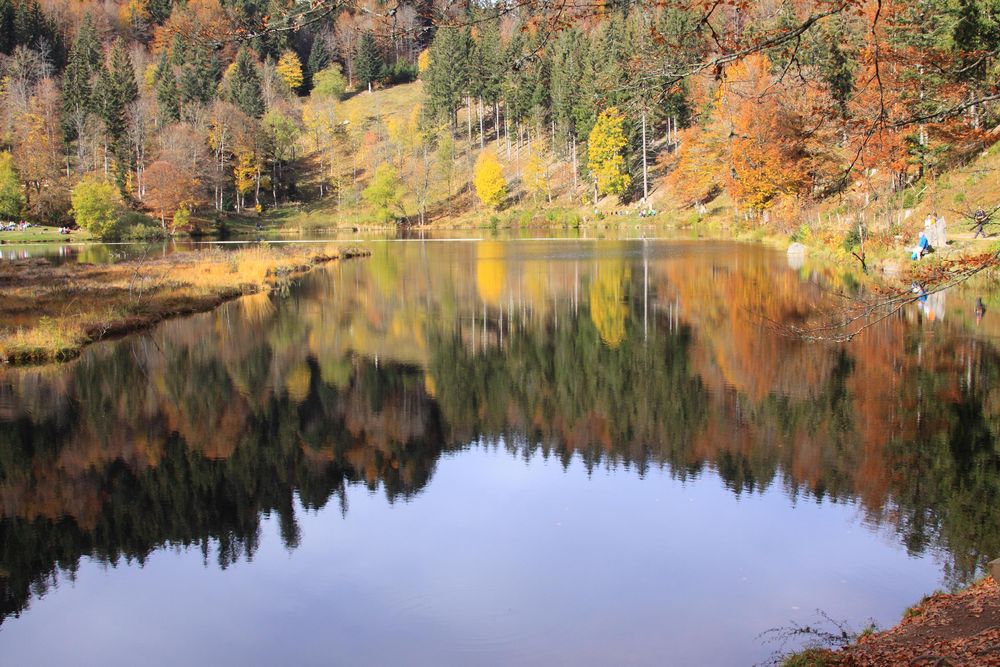 Hochmoor und Karsee Nonnenmattweiher im kleinen Wiesental ...