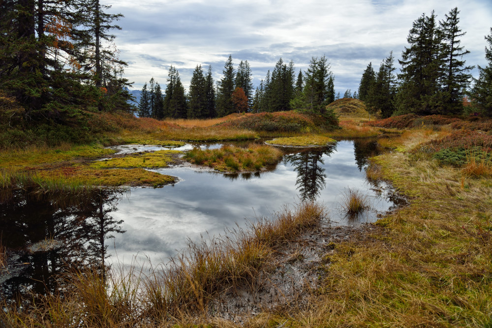 Hochmoor - Wannenkopf