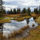 Hochmoor - Wannenkopf