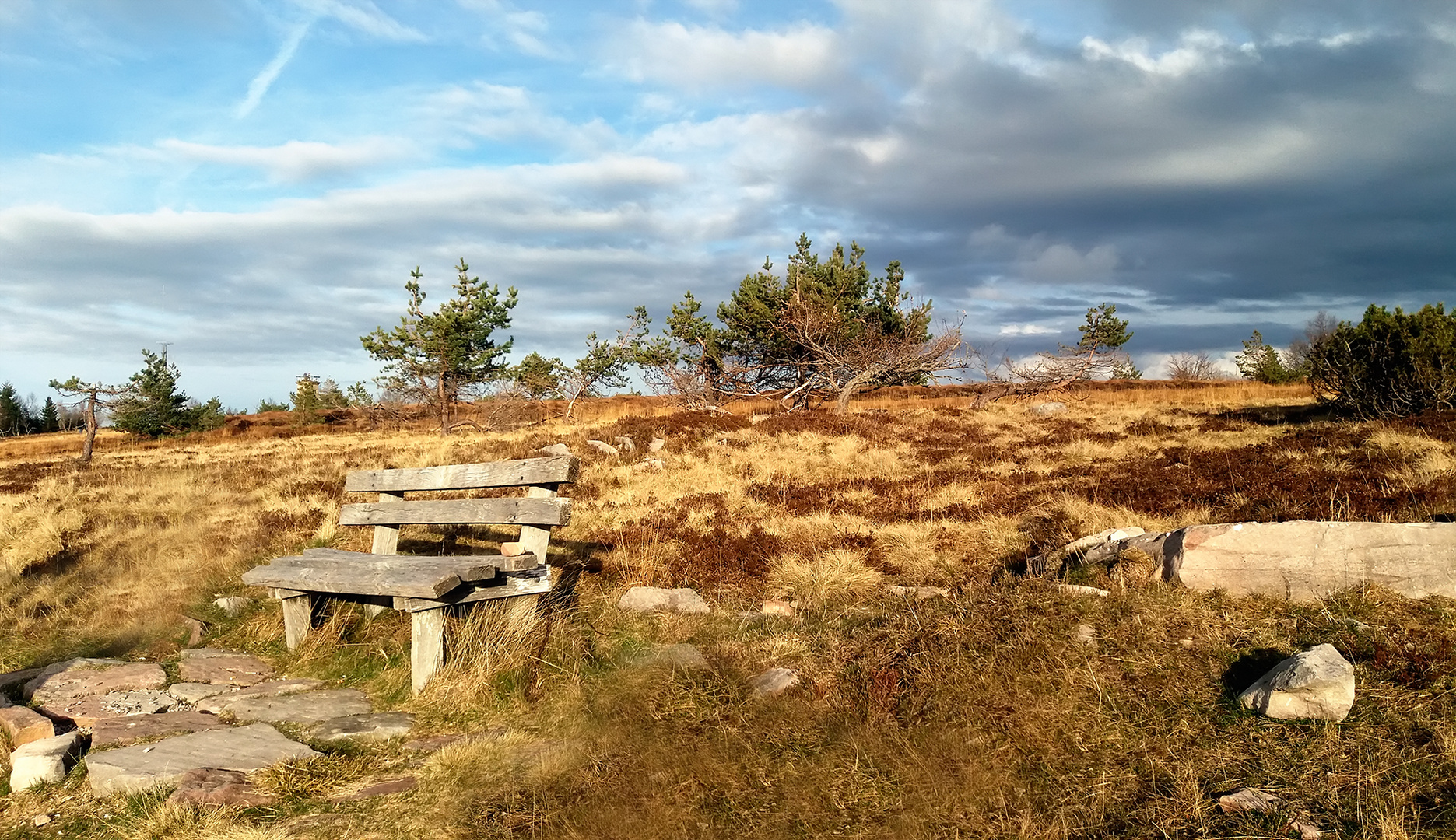 Hochmoorlandschaft