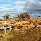 Hochmoorlandschaft