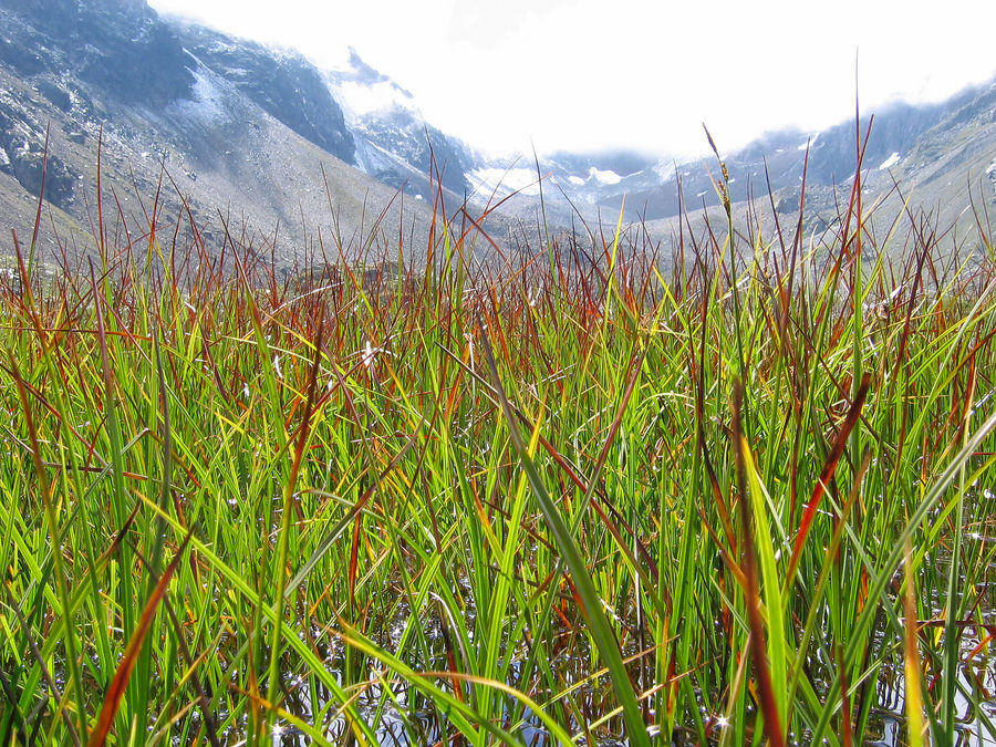 Hochmoos Neue Regensburger Hütte Stubaital