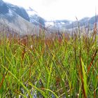 Hochmoos Neue Regensburger Hütte Stubaital