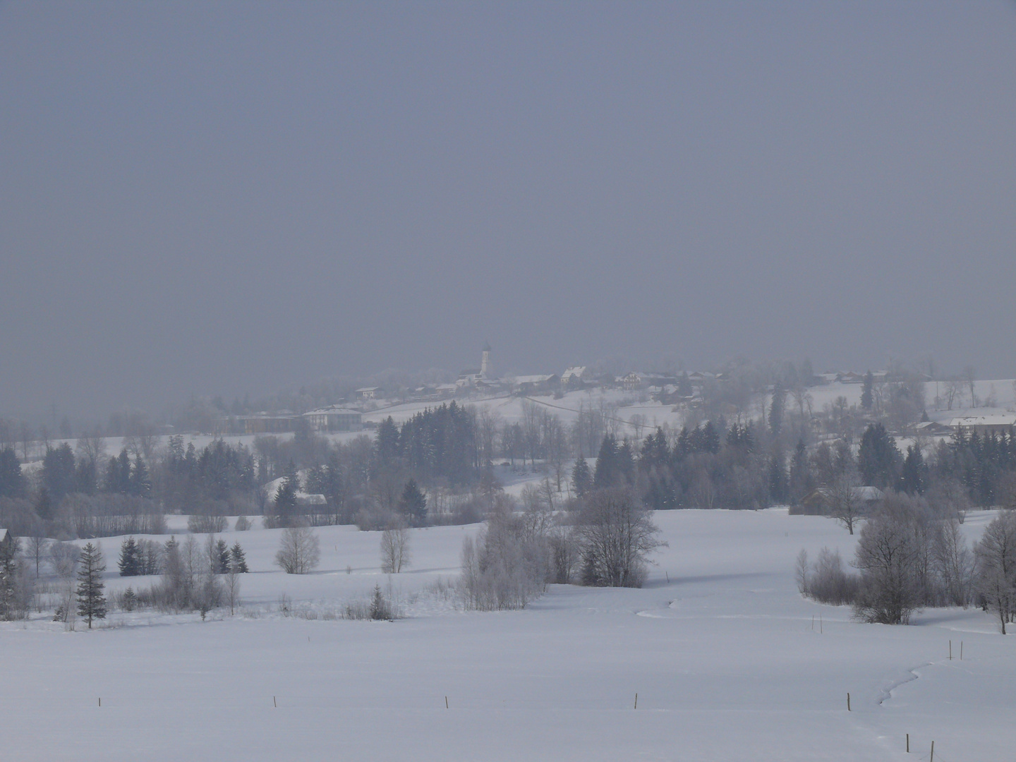 Hochnebel