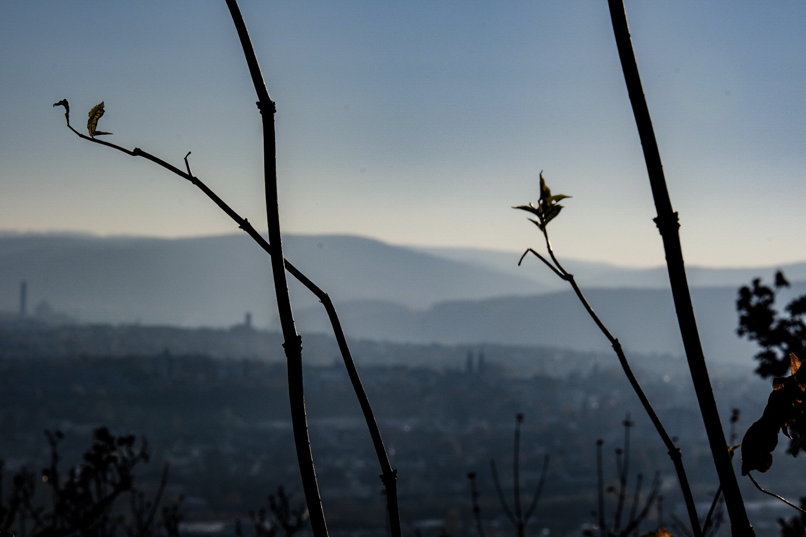 Hochnebel