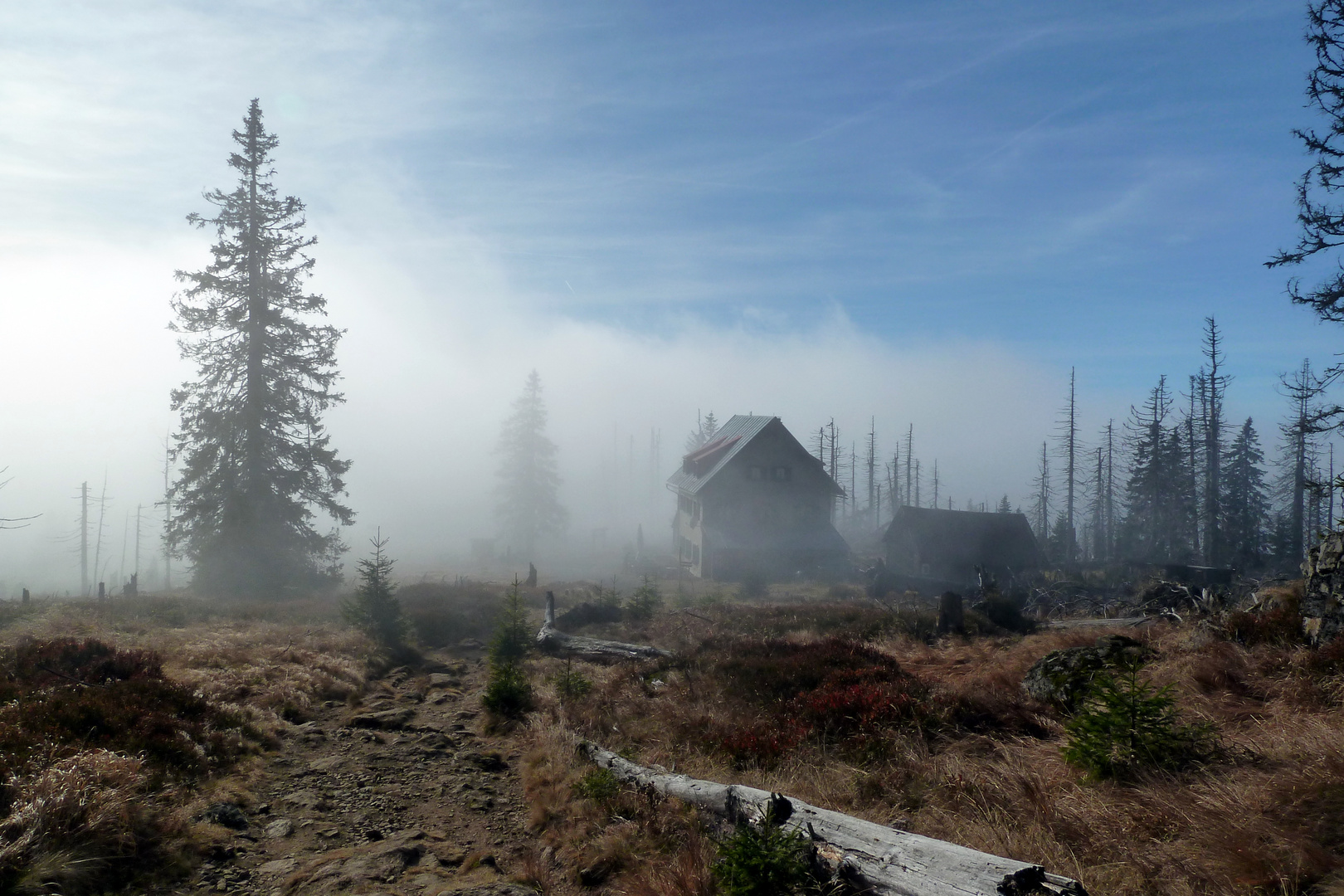 Hochnebel