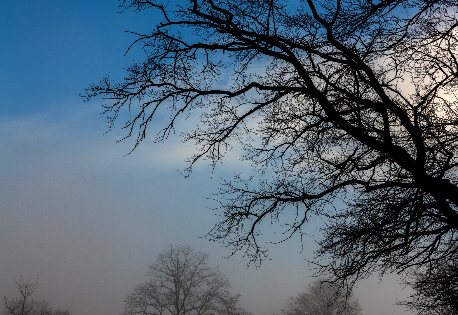 Hochnebel