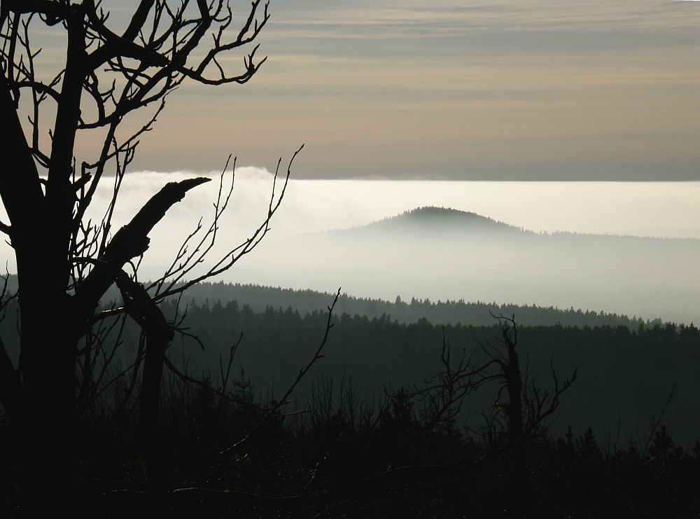 Hochnebel am Fichtelberg