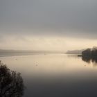 Hochnebel am Muldestausee