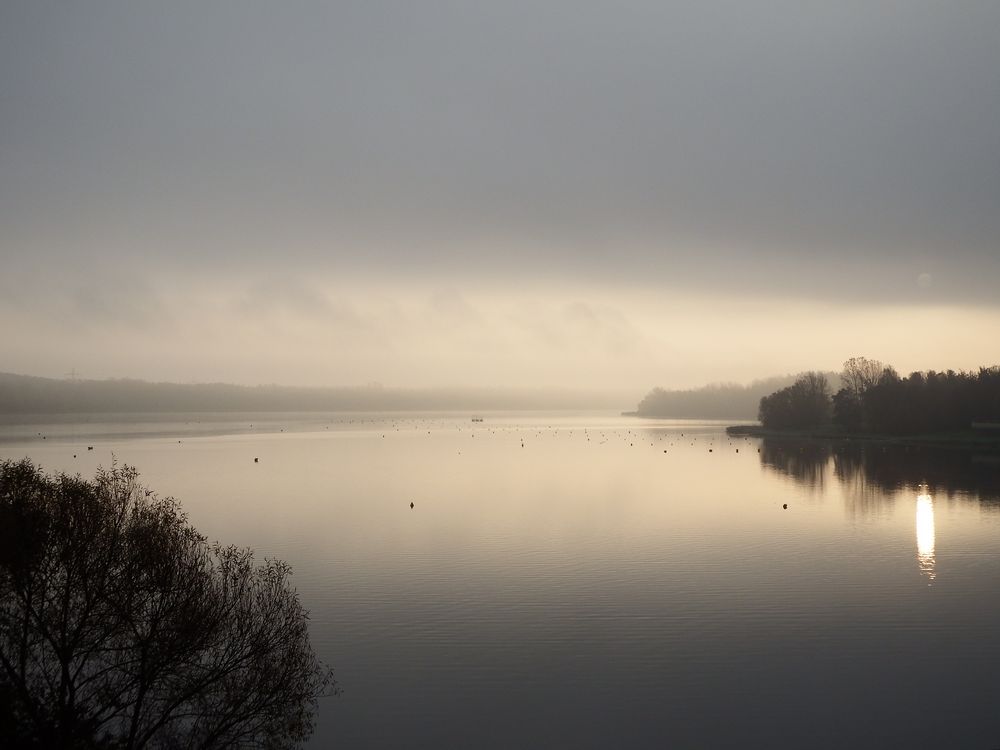 Hochnebel am Muldestausee