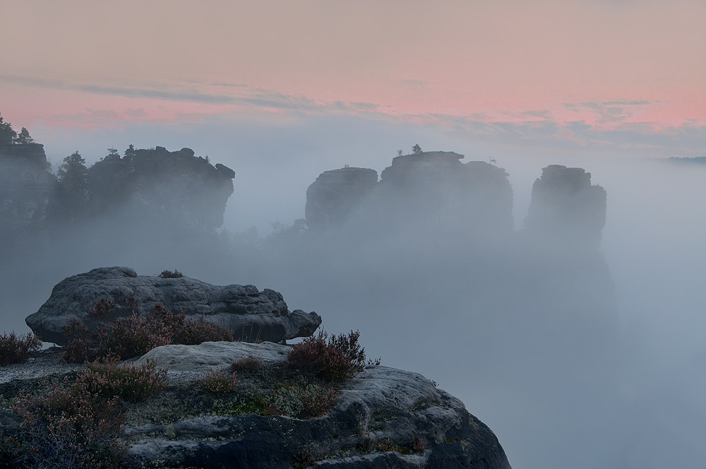 Hochnebel an der Kleinen Gans