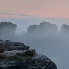 Hochnebel an der Kleinen Gans