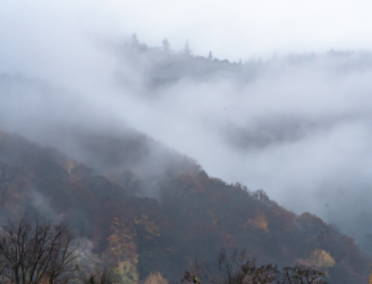 Hochnebel DSC_0164-2