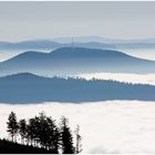 Hochnebel