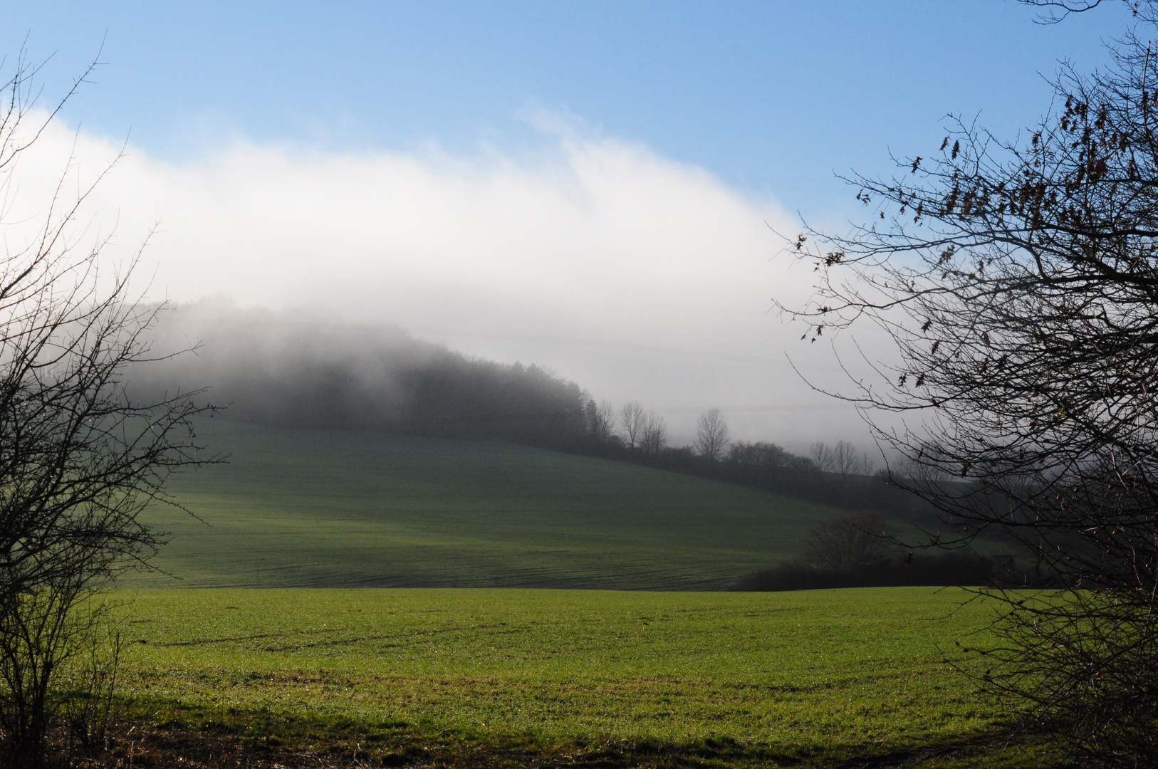 Hochnebel