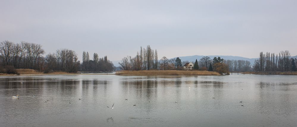 Hochnebel-Idylle