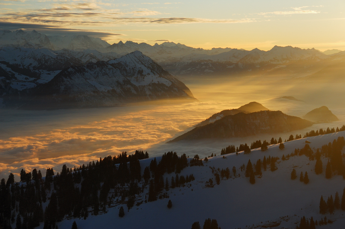 Hochnebel im Abendlicht