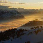 Hochnebel im Abendlicht