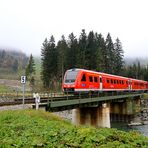 Hochnebel im Allgäu I