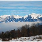 Hochnebel im Churer Rheintal