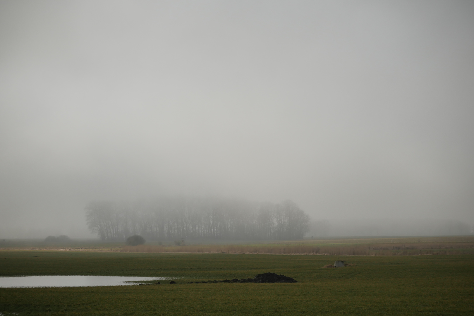 Hochnebel in Nord-Vorpommern