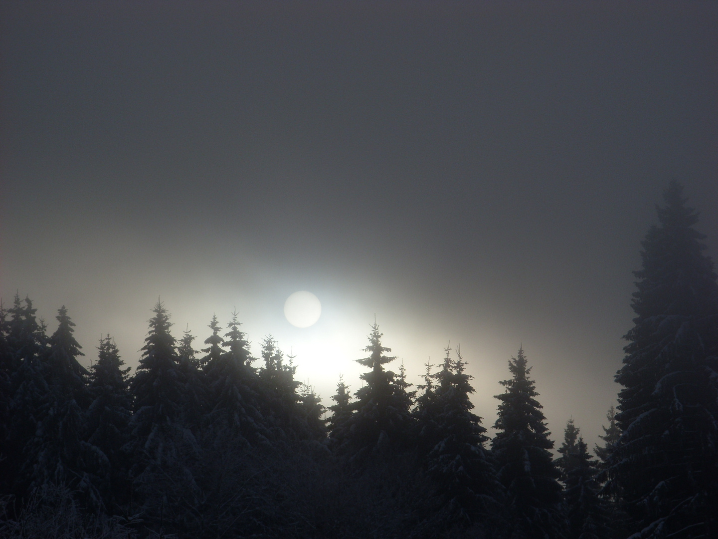 Hochnebel kommt rein