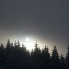 Hochnebel kommt rein