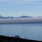 Hochnebel über dem Bodensee