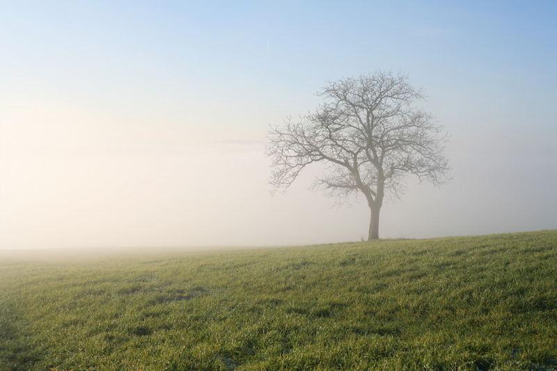 Hochnebel über dem Taunus