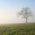 Hochnebel über dem Taunus