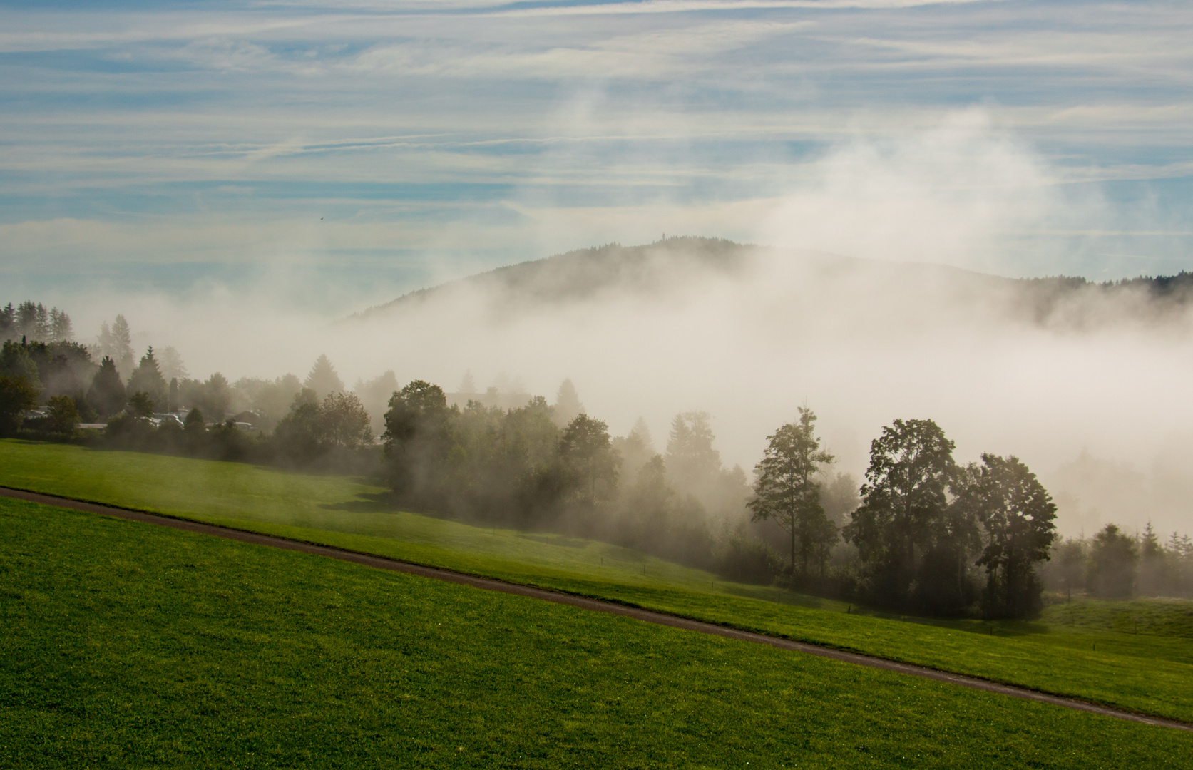 Hochnebel über dem Titisee