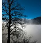 Hochnebel über dem Zillertal