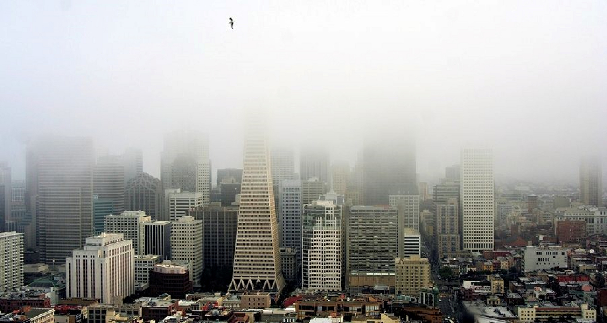 Hochnebel über San Franzisko