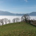 Hochnebel über Thun