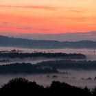 Hochnebel über Wald und Wiesen