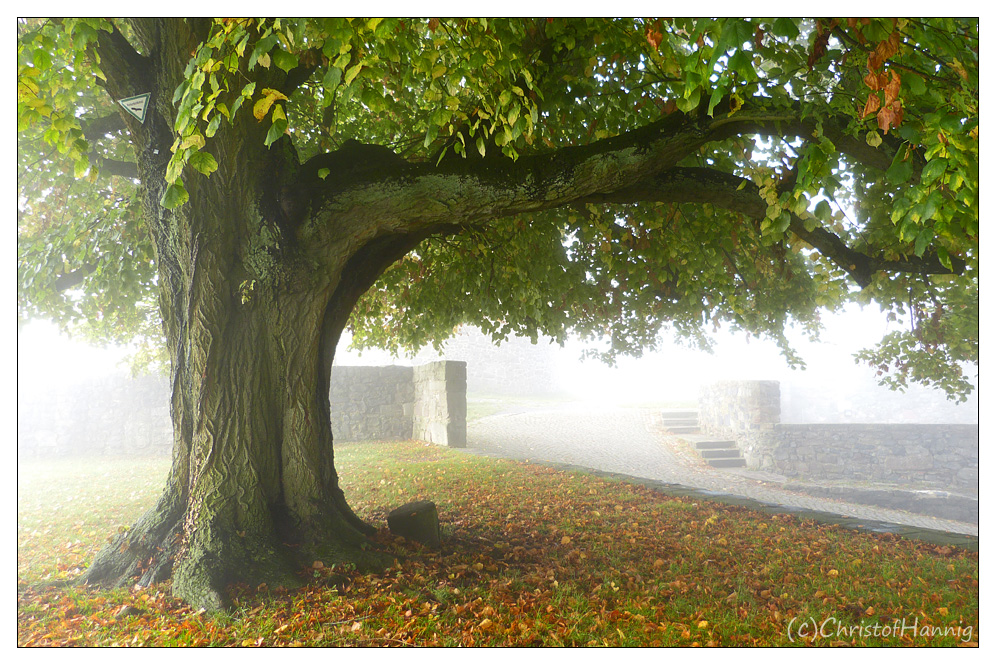 Hochnebelfenster im Spätoktoberdunst