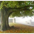 Hochnebelfenster im Spätoktoberdunst