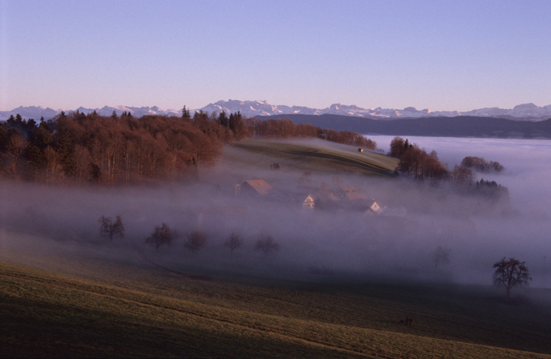 Hochnebelstimmung in der Abendsonne