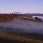 Hochnebelstimmung in der Abendsonne