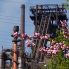 Hochofen 1 in voller Frühlingsblüte