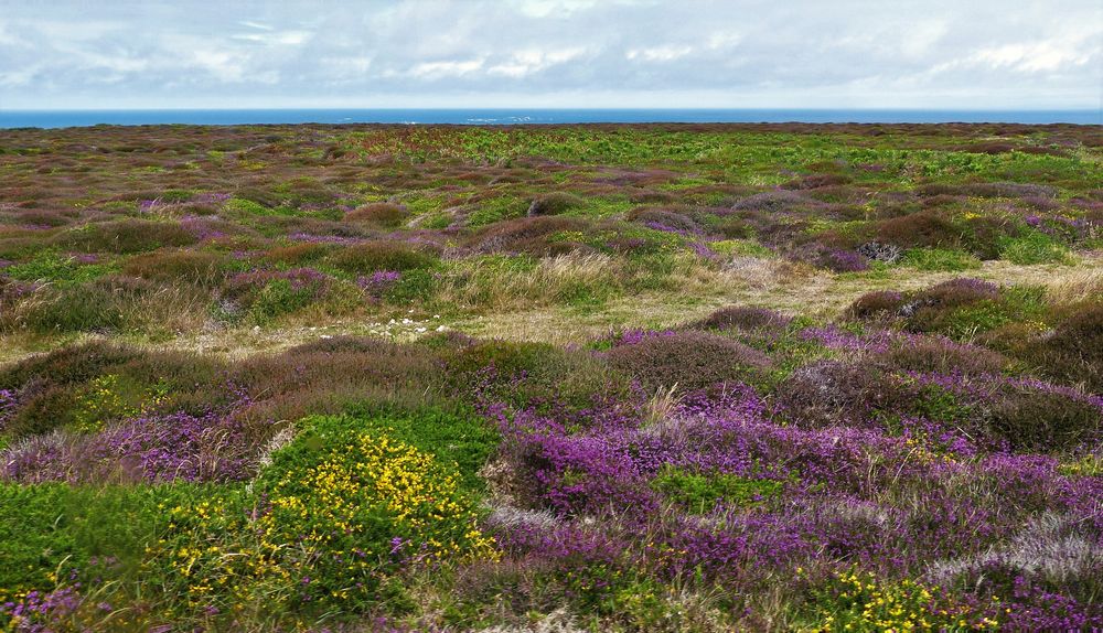 Hochplateau an der Nordküste