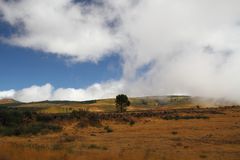 Hochplateau auf Madeira