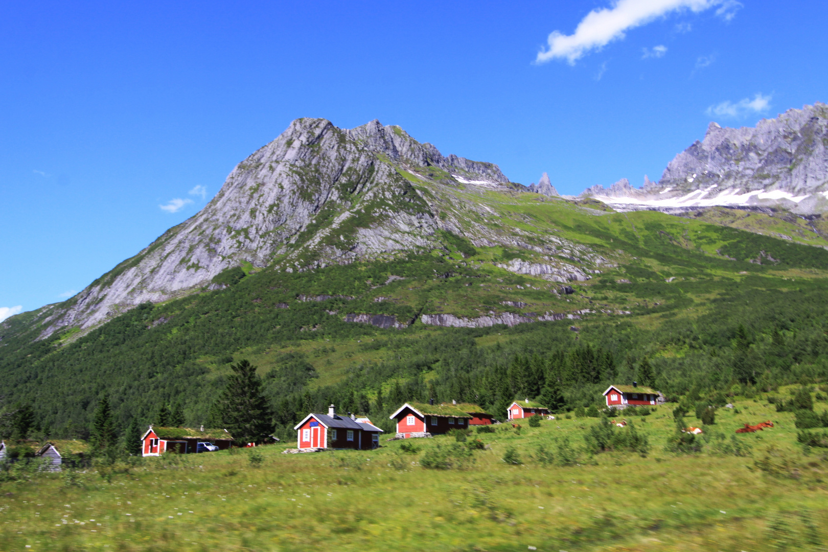 Hochplateau in Mittelnorwegen